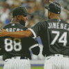 Chicago White Sox Players Diamond Painting