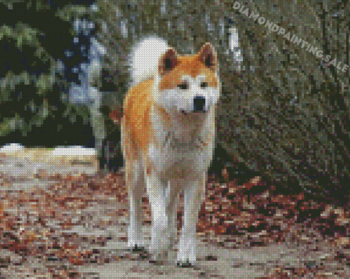 Hachi The Dog Diamond Painting