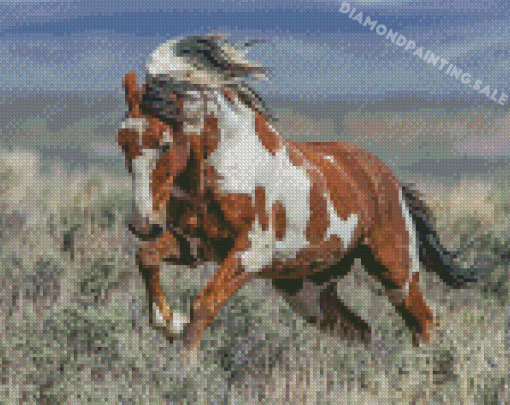 Piccaso Horse Diamond Painting