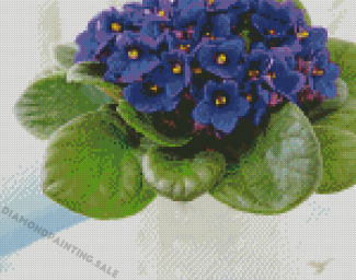 Aesthetic African Violets Diamond Painting