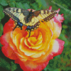 Aesthetic Butterfly Rose Diamond Painting