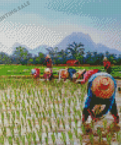 Aesthetic Rice Field Diamond Painting