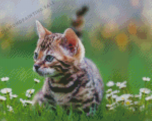Cute Kitten Tiger Diamond Painting