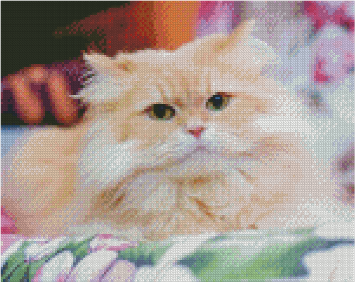 Cute Persian Cat Diamond Painting
