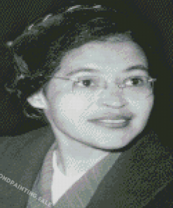 Monochrome Rosa Parks Diamond Painting