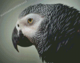 African Grey Parrot Head Diamond Painting