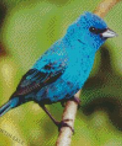 Blue Indigo Bunting Bird Diamond Painting