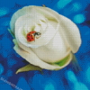 Ladybug On White Rose Diamond Painting