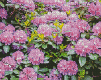 Purple Rhododendron Diamond Painting