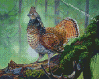 Ruffed Grouse Bird Diamond Painting
