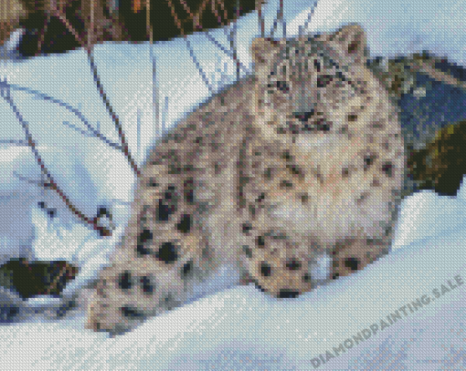 Snow Leopard Diamond Painting