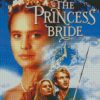 The Princess Bride Poster Diamond Painting