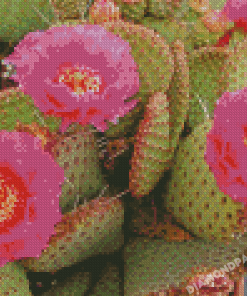 Cactus Plant With Pink Roses Diamond Painting