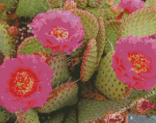 Cactus Plant With Pink Roses Diamond Painting