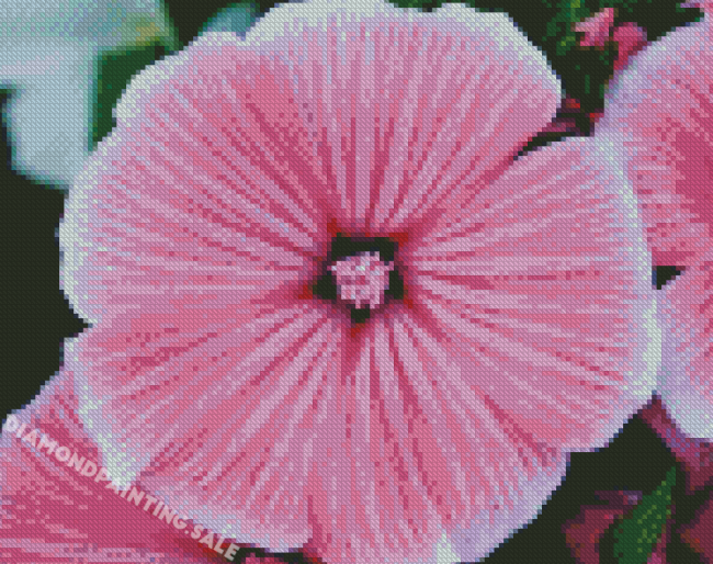 Close Up Pink Flowers Diamond Painting