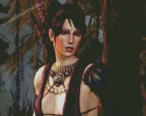 Dragon Age Character Diamond Painting