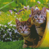 Two Kitties In Garden Diamond Painting