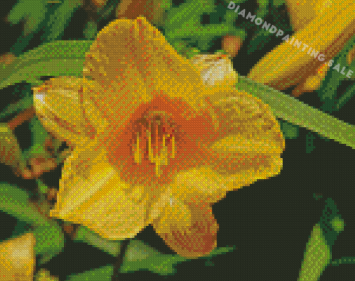 Yellow Lily Rose Diamond Painting