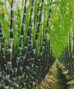Aesthetic Sugarcane Tree Diamond Painting