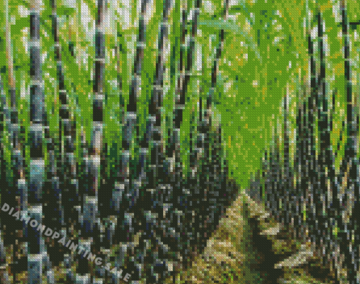 Aesthetic Sugarcane Tree Diamond Painting