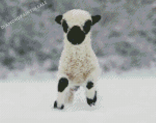 Baby Valais Blacknose Sheep In Snow Diamond Painting