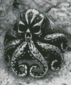 Black And White Octopus Skull Diamond Painting