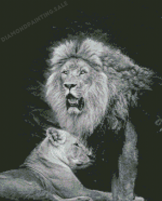 Black And White Two Lion And Lioness Diamond Painting