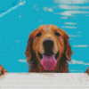 Brown Dogs Pool Diamond Painting