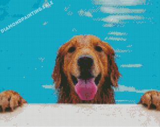 Brown Dogs Pool Diamond Painting