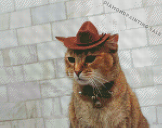 Cat With Brown Hat Diamond Painting