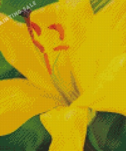 Close Up Yellow Lily Diamond Painting