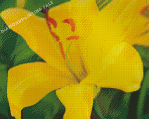 Close Up Yellow Lily Diamond Painting