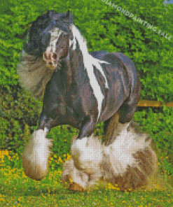 Cob Horse Animal Diamond Painting