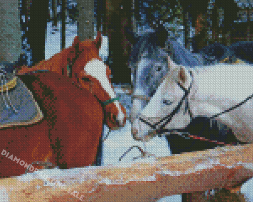 Cob Horses Animal Diamond Painting