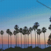 Palm Trees In California Diamond Painting