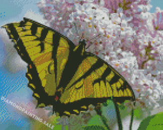 White Lantanas Flowers With Yellow Butterfly Diamond Painting