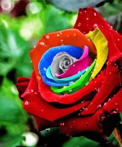 Aesthetic Colorful Rose Flower Diamond Painting