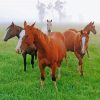Aesthetic Five Horses Diamond Painting