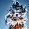 Aesthetic Wet Dog Diamond Painting
