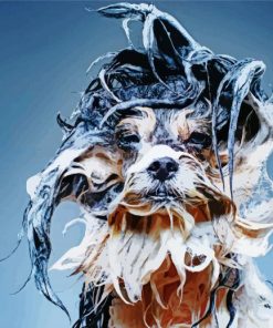 Aesthetic Wet Dog Diamond Painting