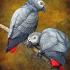 African Grey Parrots Diamond Painting