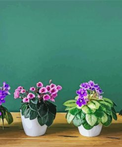 African Violets Diamond Painting