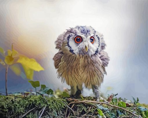 Baby Owl Bird Diamond Painting