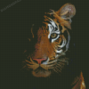 Tiger Face In The Night Diamond Painting