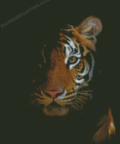 Tiger Face In The Night Diamond Painting
