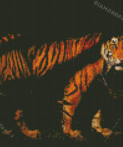 Tiger In The Night Diamond Painting
