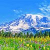 Mt Rainier And Flowers Diamond Painting