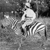 Old Women Riding Zebra Diamond Painting
