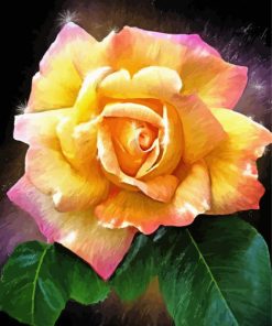 Peace Roses Flower Art Diamond Painting