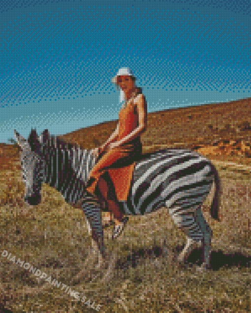 Aesthetic Women Riding Zebra Diamond Painting